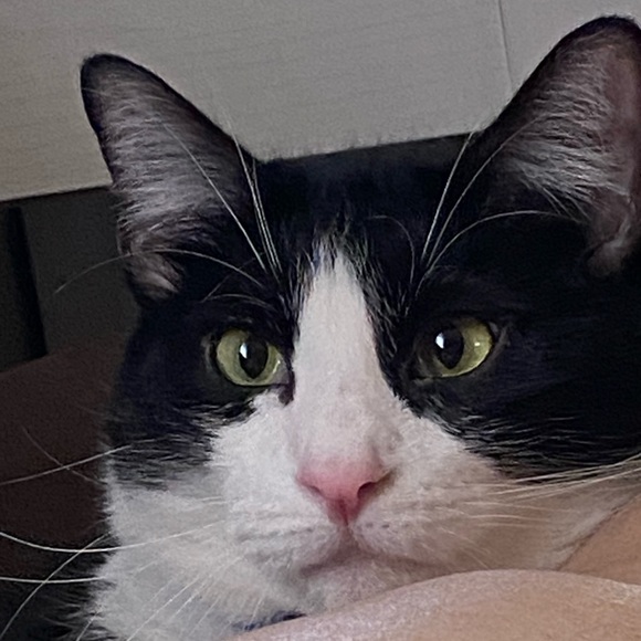 Meet your Posher, Valerie - Picture 1 of 1